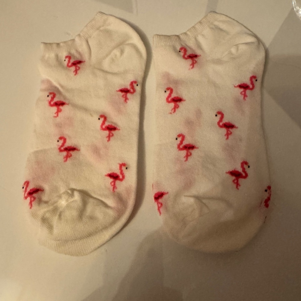 New Flamingo No Show Socks S/M